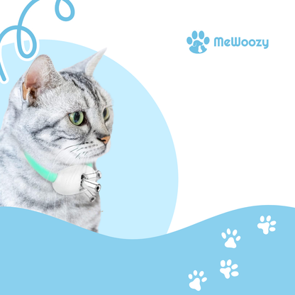 Kattenspeeltje Met LED Licht – Voor Actieve Jachtmomenten