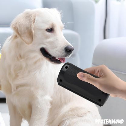 Hand houdt de zwarte borstel voor een witte golden retriever in de woonkamer