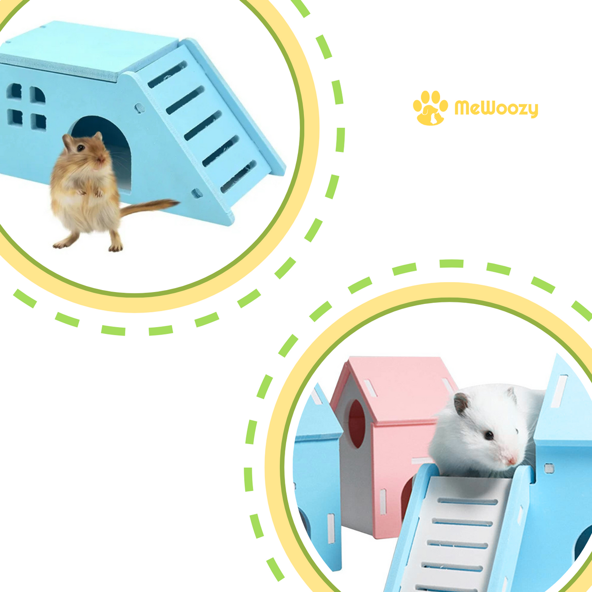 Gerbil bij schuin blauw huisje en witte hamster op een trapje