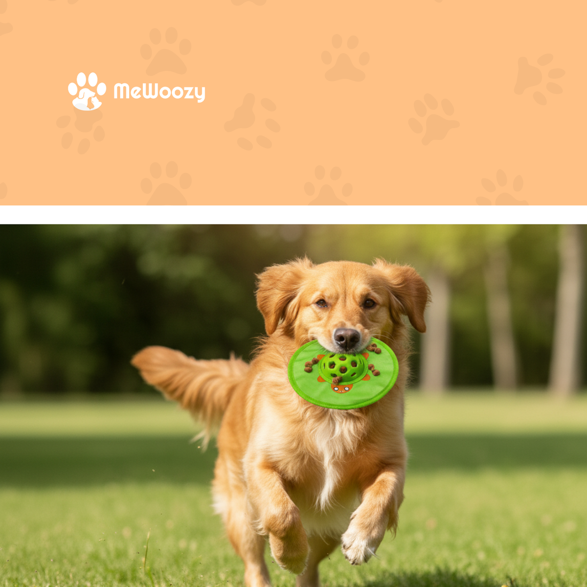 Golden retriever rent over het gras met de groene schildpadfrisbee in zijn bek