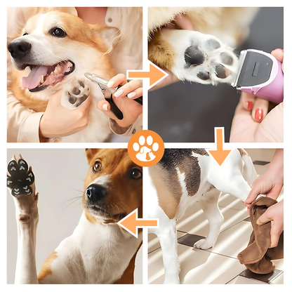 PootBescherm Pads Voor Honden – Tegen Hitte & Uitglijden