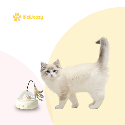 LaserJacht Kattenspeeltje – Voor Actieve Binnenkatten