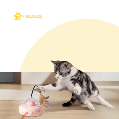 LaserJacht Kattenspeeltje – Voor Actieve Binnenkatten