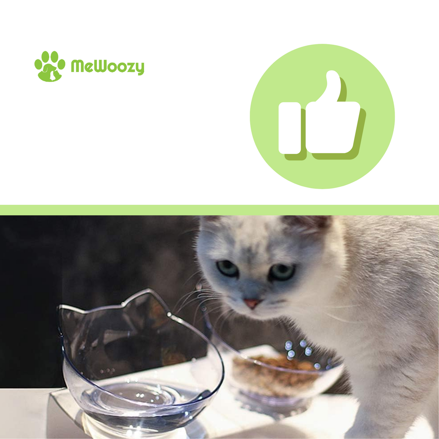 Katten Eetbak Op Verhoging – Voor Minder Braken En Pijn