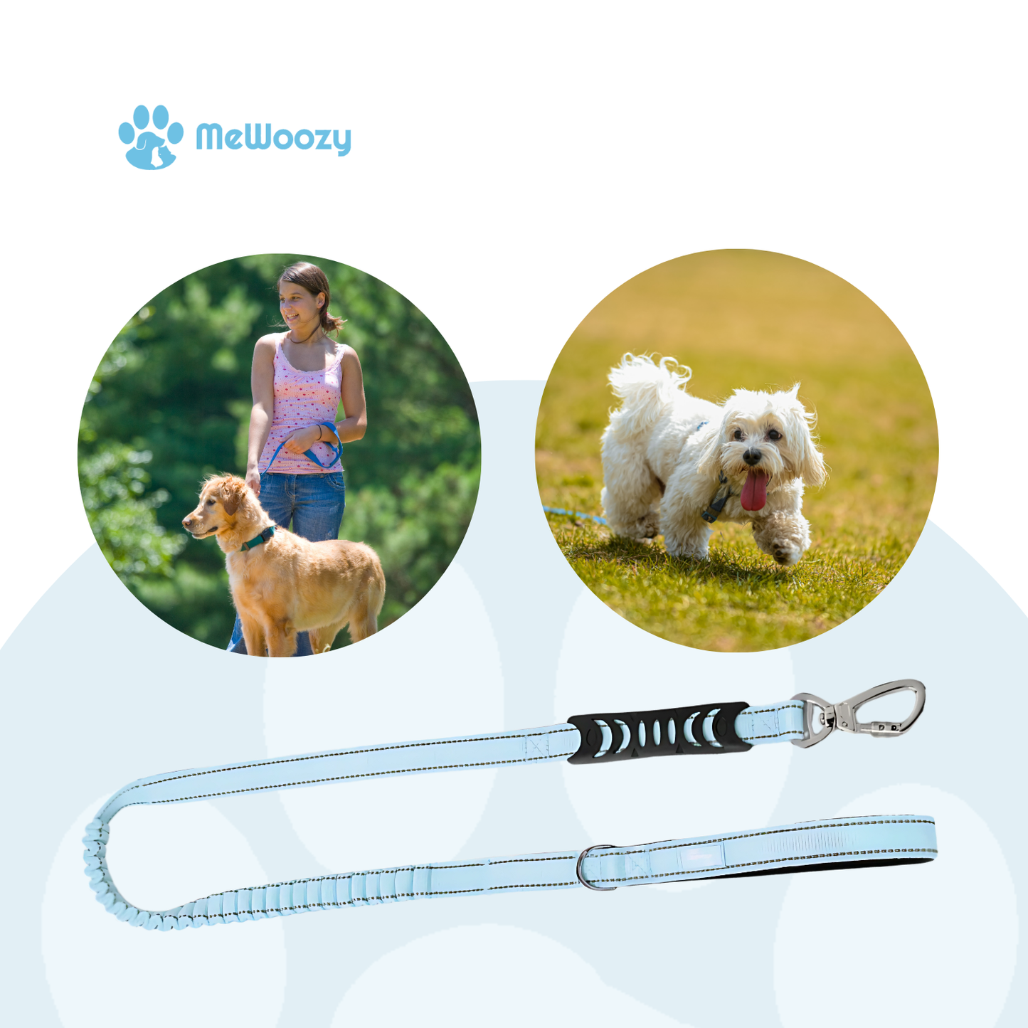 Bungee Dog Leash – For Stress-Free Walking