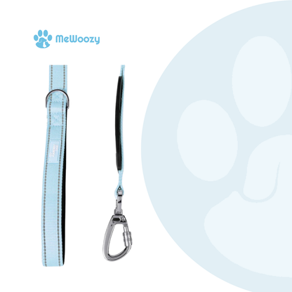 Bungee Dog Leash – For Stress-Free Walking