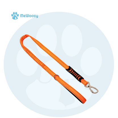 Bungee Hondenriem 1.2M – Met Schokabsorbering