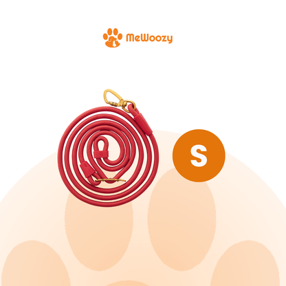 Ember Everyday Wandelset Voor Honden