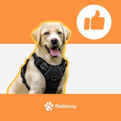 Anti-Pull Dog Harness – For Peaceful Walks