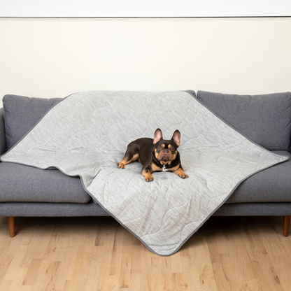 Cool Dog Blanket – Heat &amp; Stain Protection