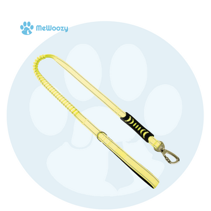 Bungee Hondenriem 1.2M – Met Schokabsorbering