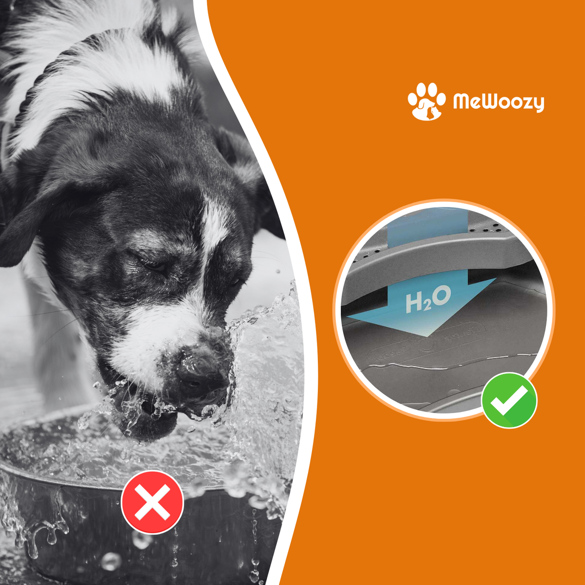 Hond die water morst uit gewone bak naast opvangrand die water vasthoudt