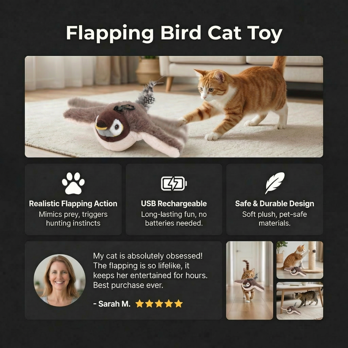 Rode kat sluipt naar het fladderende vogeltje op vloerkleed, met klantreview en kenmerken