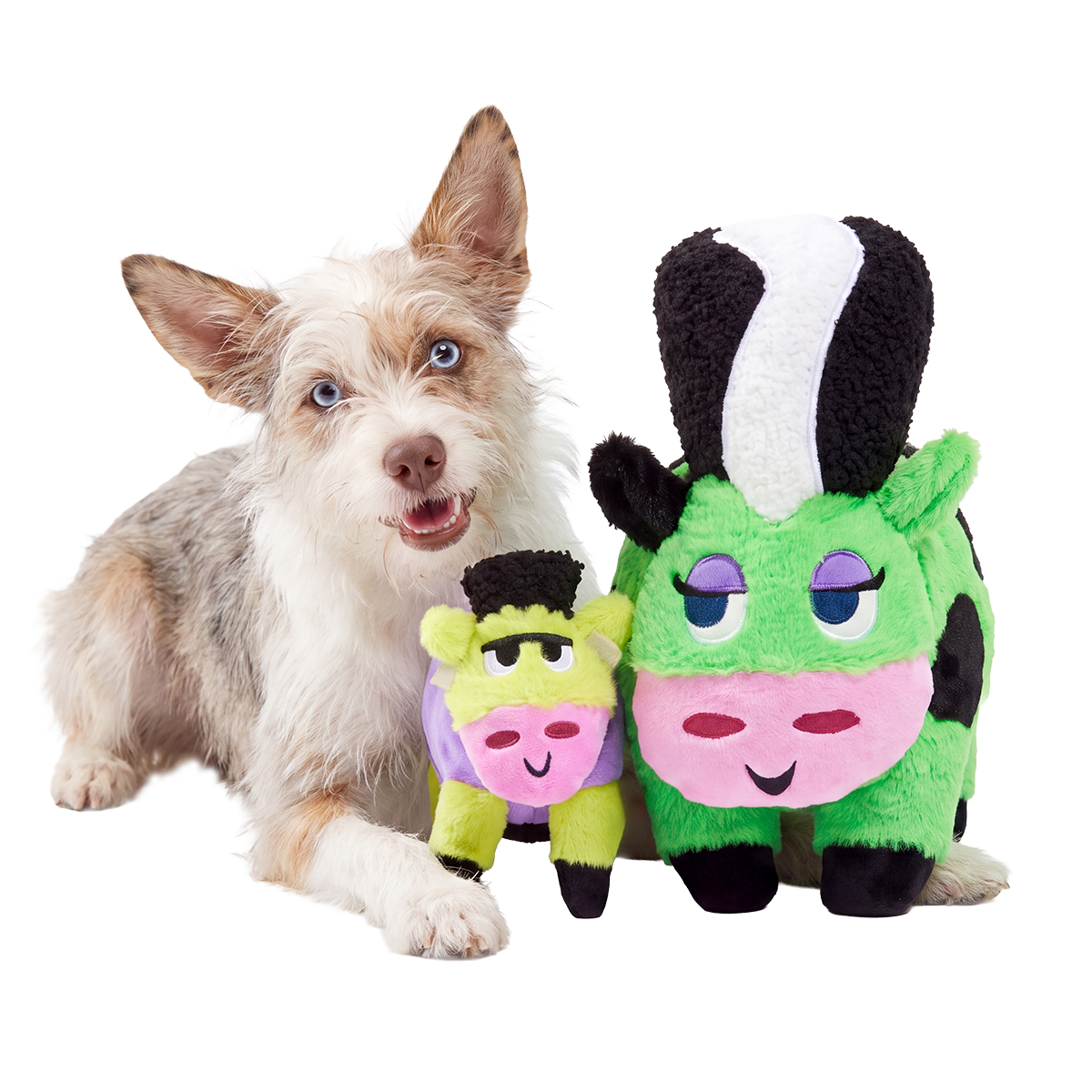 Witte ruwharige hond ligt naast groene pluche hondenknuffel XL in koevorm met kleine paarse knuffel