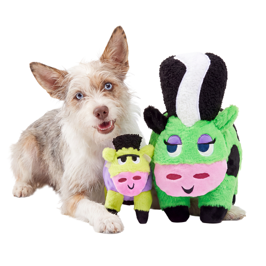 Witte ruwharige hond ligt naast groene pluche hondenknuffel XL in koevorm met kleine paarse knuffel