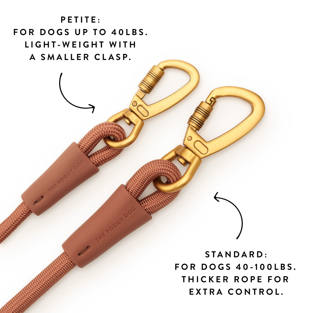 Saddle Everyday Wandelset Voor Honden
