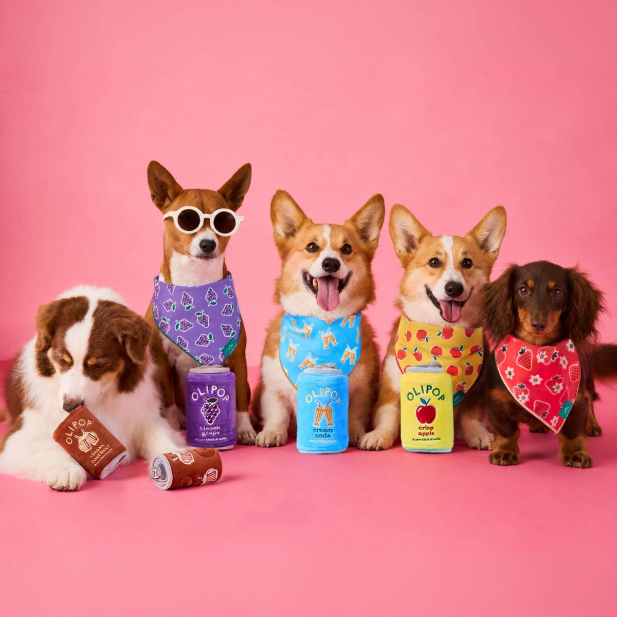 Crisp Apple Bandana Voor Honden