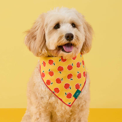 Crisp Apple Bandana Voor Honden