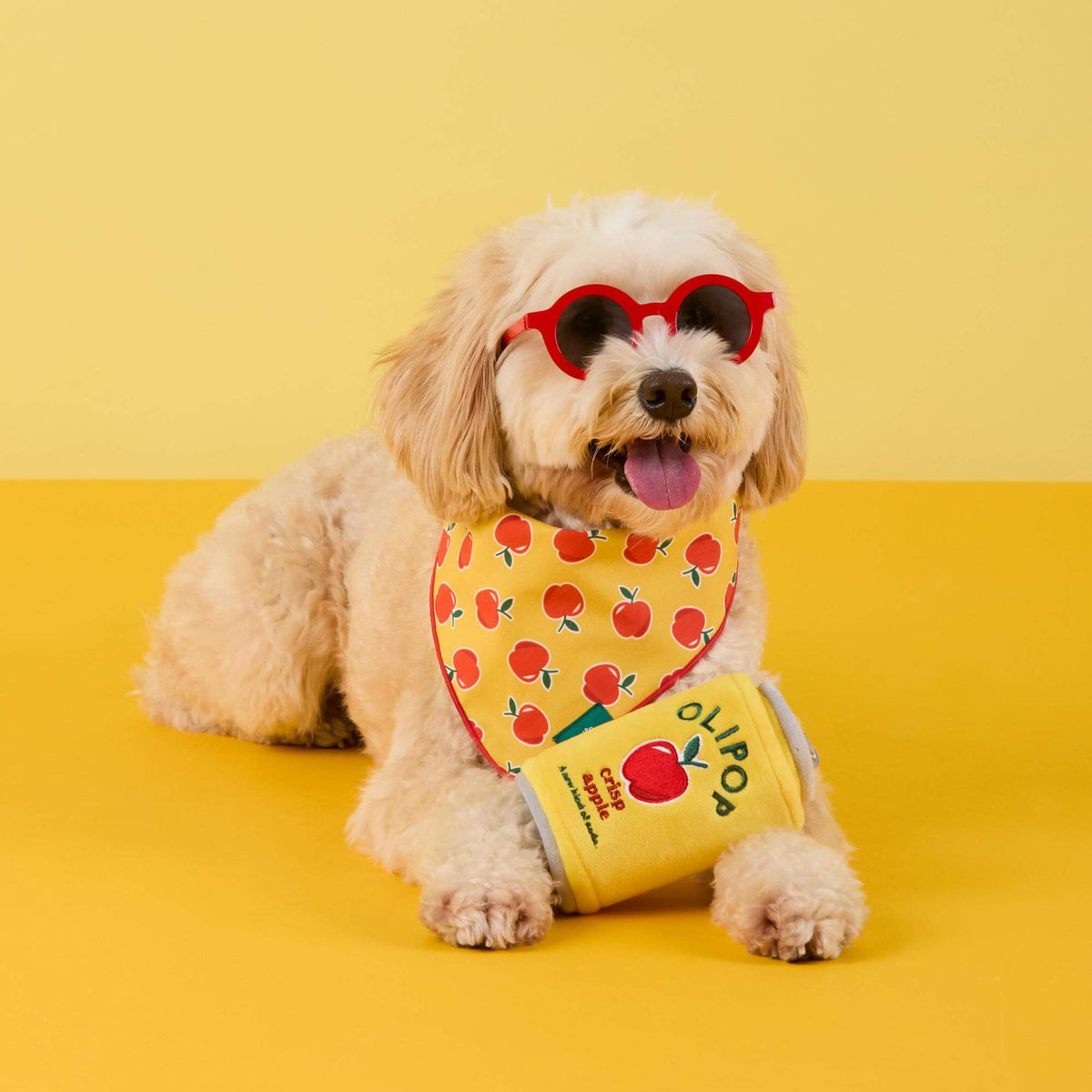 Crisp Apple Snuffelspeelgoed Voor Honden
