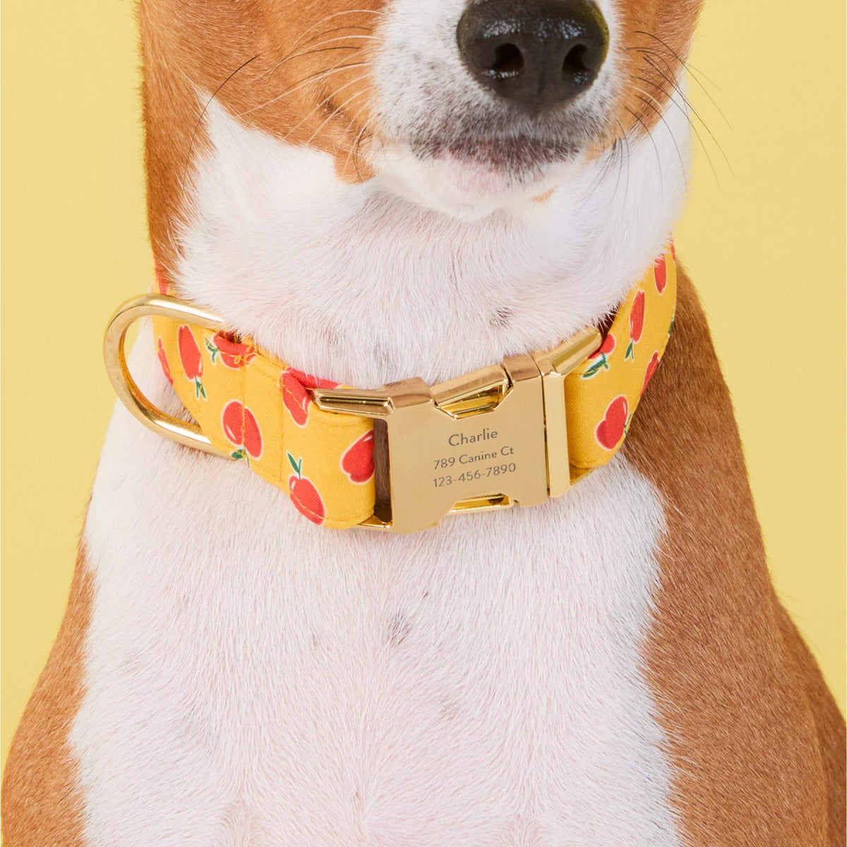Crisp Apple Halsband Voor Honden
