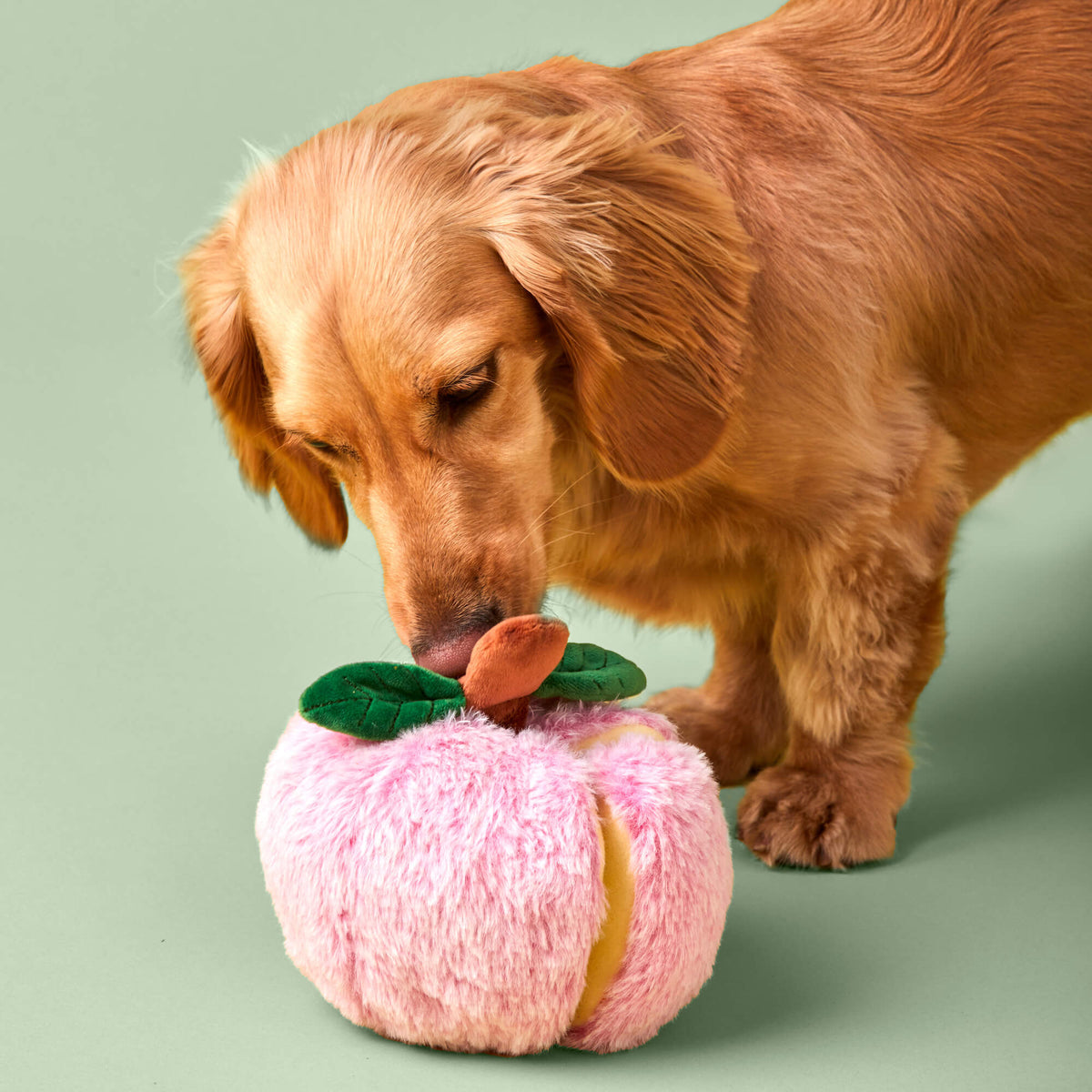 Sweet As Pie Interactieve Speelgoedset Voor Honden