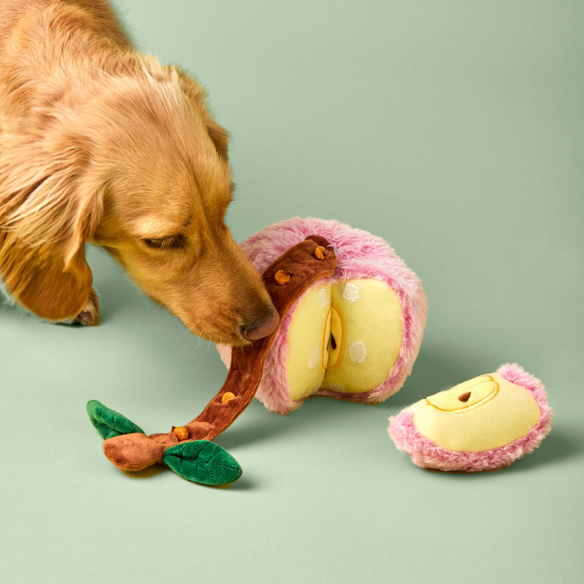 Sweet As Pie Interactieve Speelgoedset Voor Honden