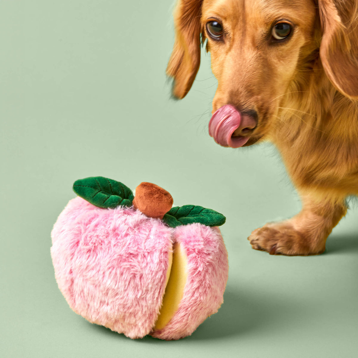 Sweet As Pie Interactieve Speelgoedset Voor Honden