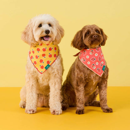 Strawberry Vanilla Bandana Voor Honden