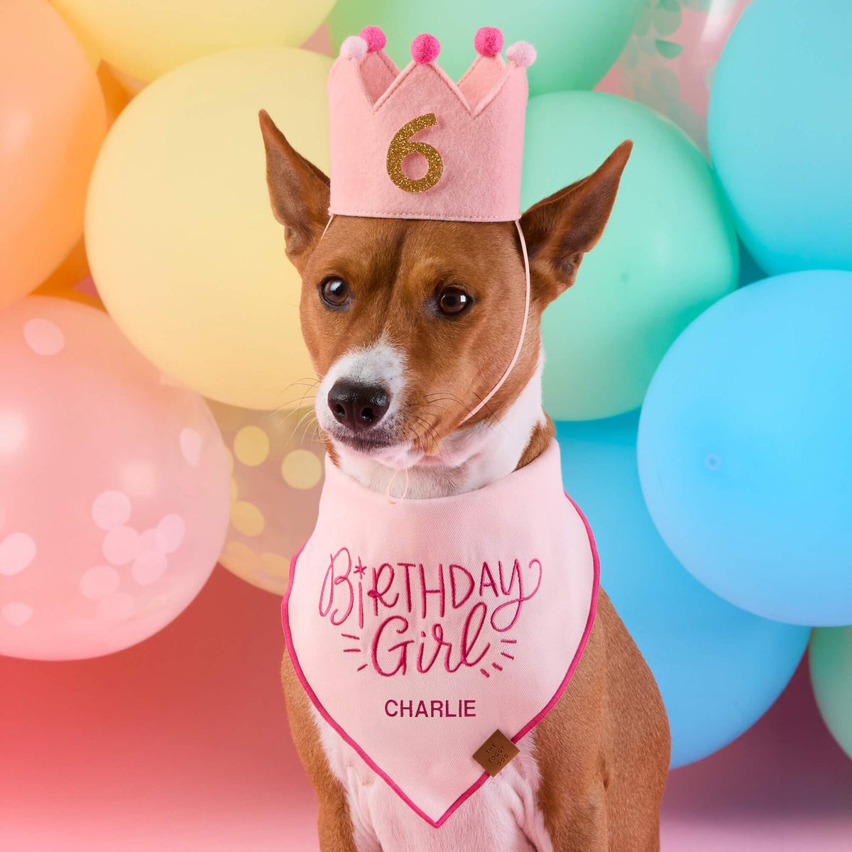 Birthday Girl Geborduurde Bandana Voor Honden