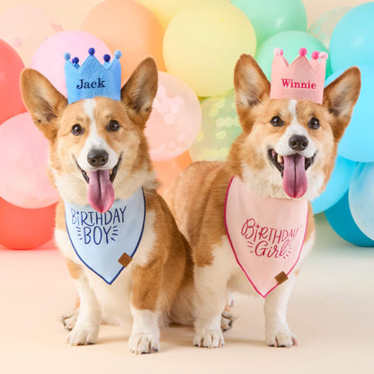 Lichtblauwe Geborduurde Verjaardagskroon Voor Honden