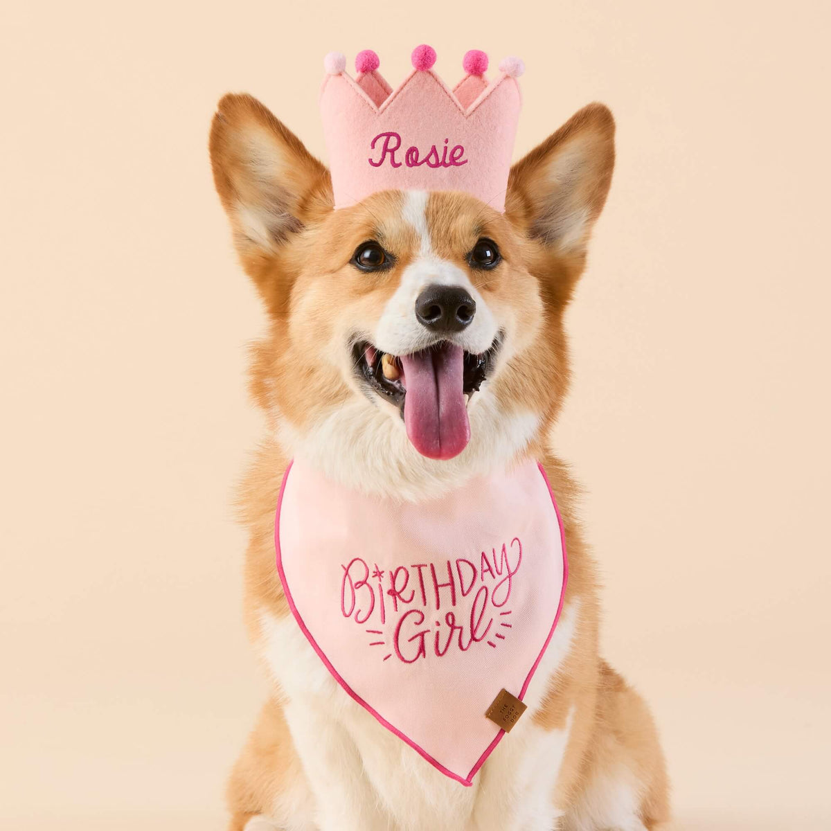 Birthday Girl Geborduurde Bandana Voor Honden
