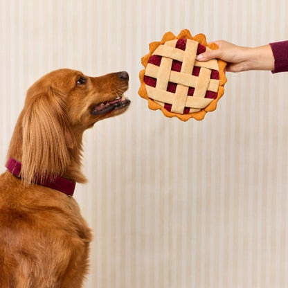 Bessentaart Interactief Snuffelspeeltje Voor Honden