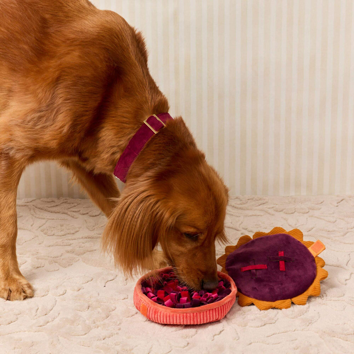 Bessentaart Interactief Snuffelspeeltje Voor Honden