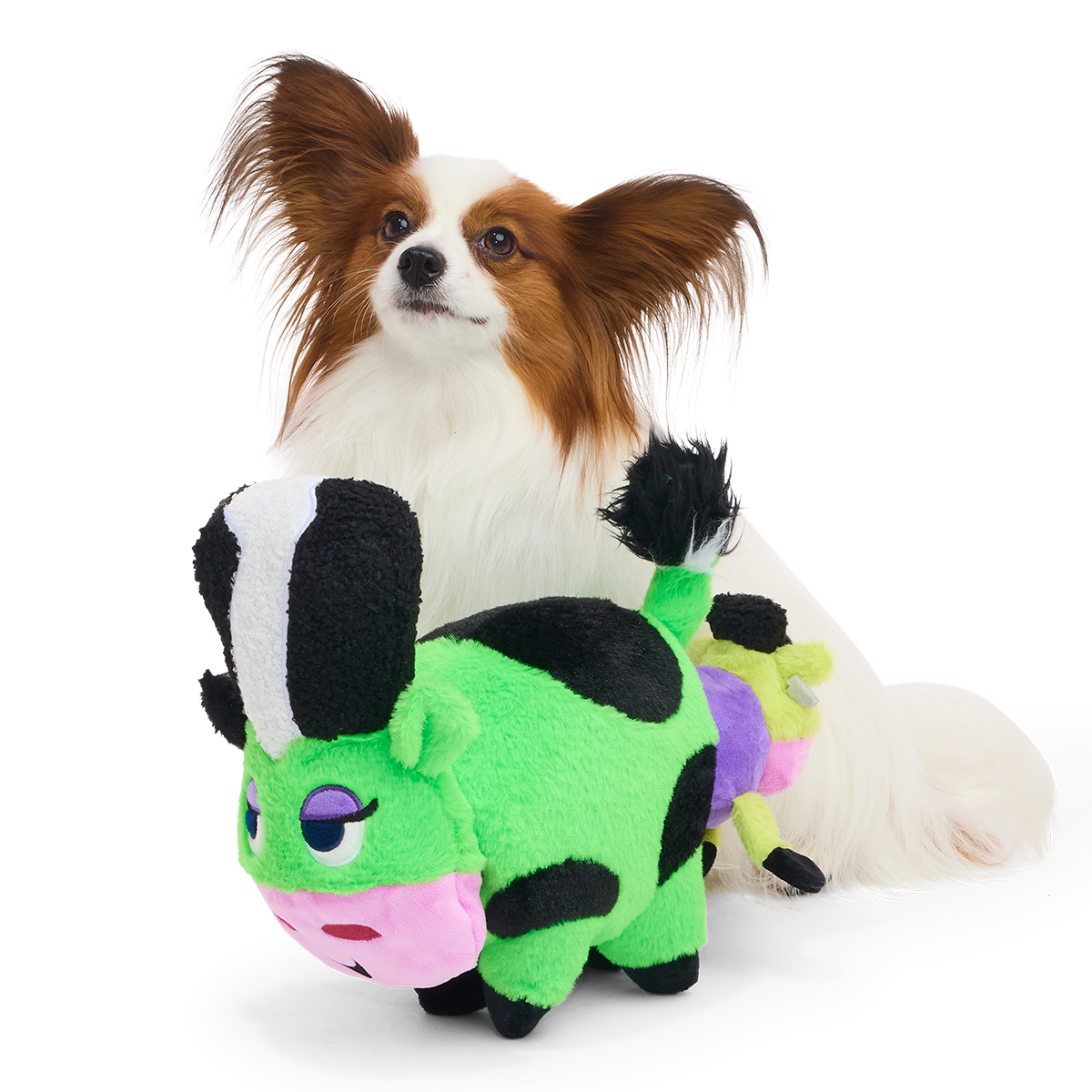 Papillonhond zit achter de groene koeknuffel met de kleine koe aan de staart