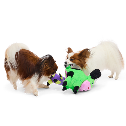 Twee papillonhonden trekken samen aan de groene en paarse knuffel