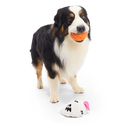 Staande hond met oranje rubberen bal in de bek, spookje op de grond