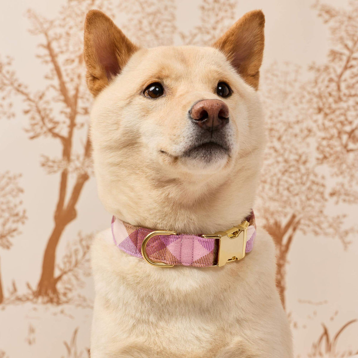 Bramble Flanellen Halsband Voor Honden