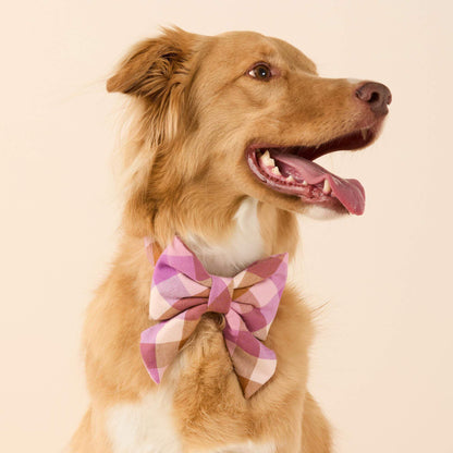 Bramble Flanellen Halsband Met Strik Met Staarten