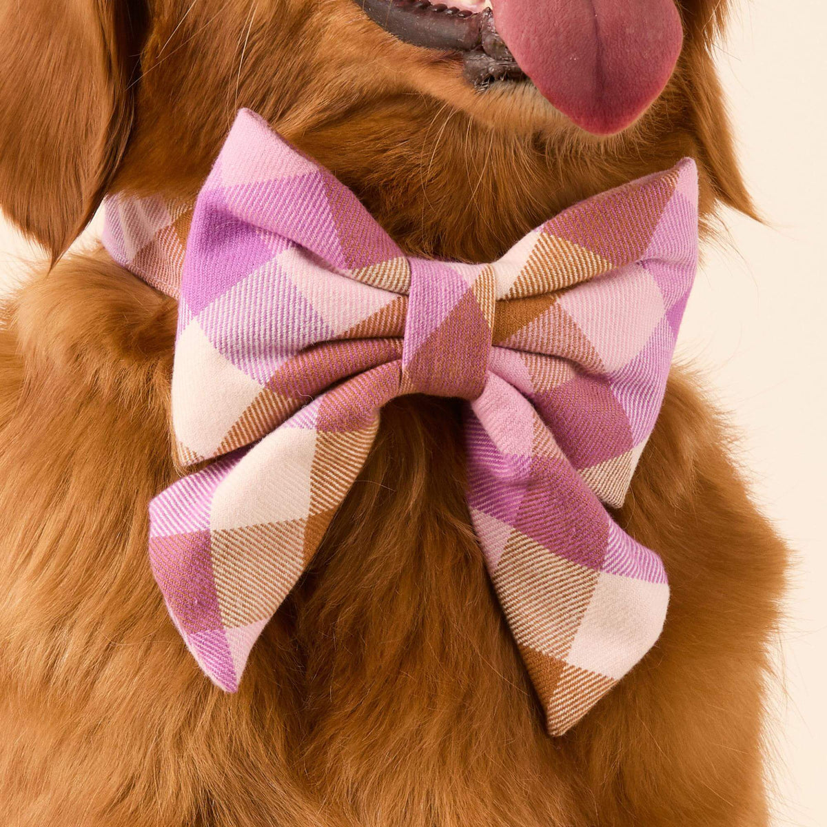 Bramble Flanellen Strik Met Staarten Voor Honden