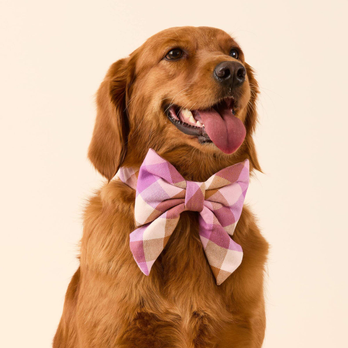 Bramble Flanellen Strik Met Staarten Voor Honden