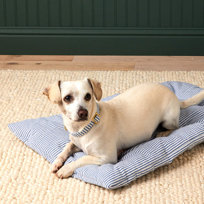 Blauw Gestreepte Reismat Voor Honden