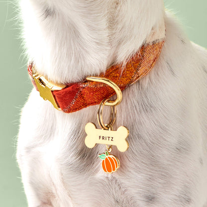 Halloween Halsbandbedeltjes Voor Honden
