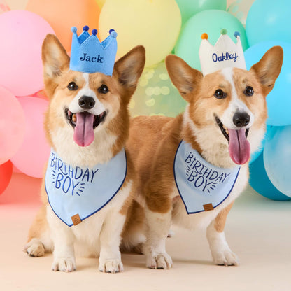 Birthday Boy Geborduurde Bandana Voor Honden