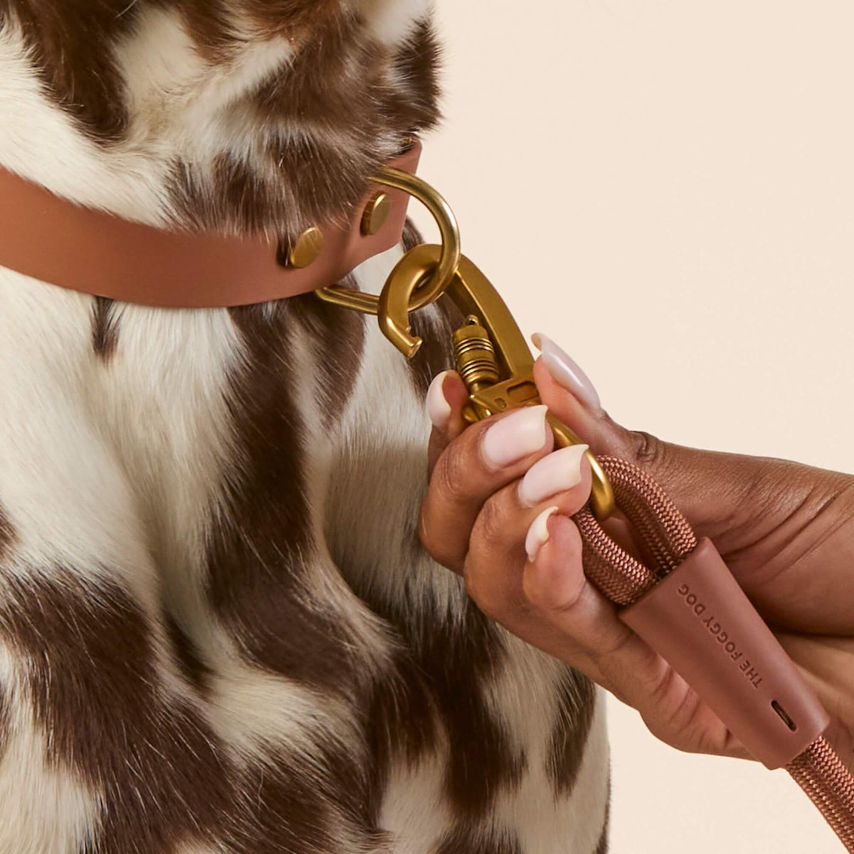 Saddle Adventure Wandelset Voor Honden