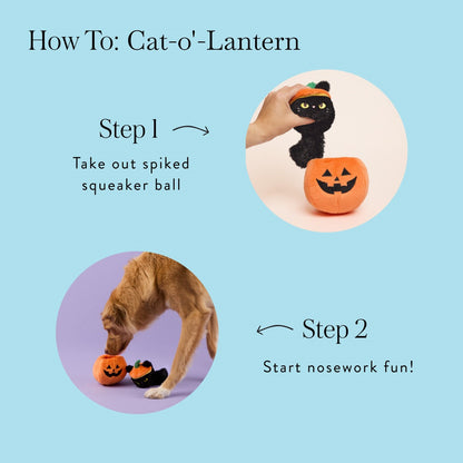 Trick-or-Treat Interactieve Hondenspeelgoedset