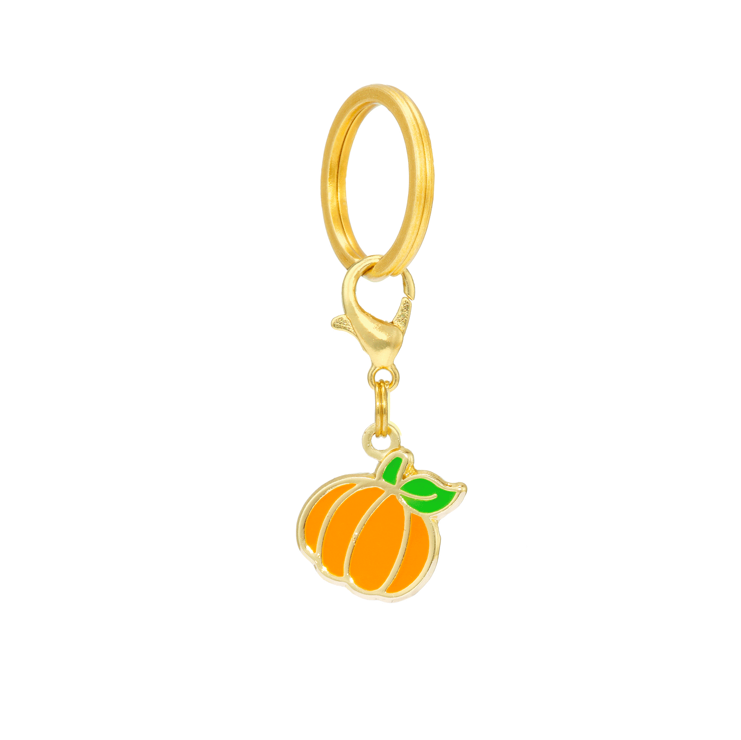 Halloween Halsbandbedeltjes Voor Honden