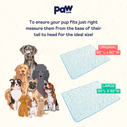 Cool Dog Blanket – Heat &amp; Stain Protection