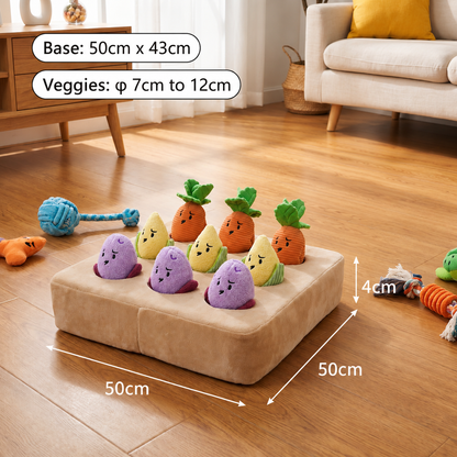 Afmetingen van de snuffelmat: basis 50 bij 50 cm, 4 cm hoog, groentes 7 tot 12 cm
