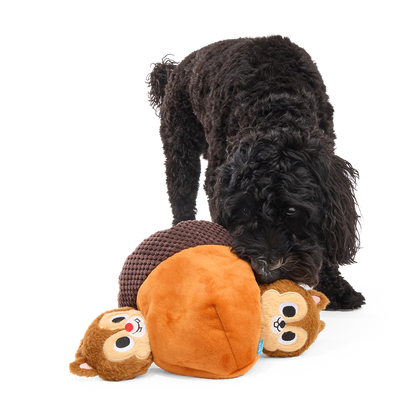 Zwarte hond snuffelt aan de pluche eikel met twee eekhoorntjes erin