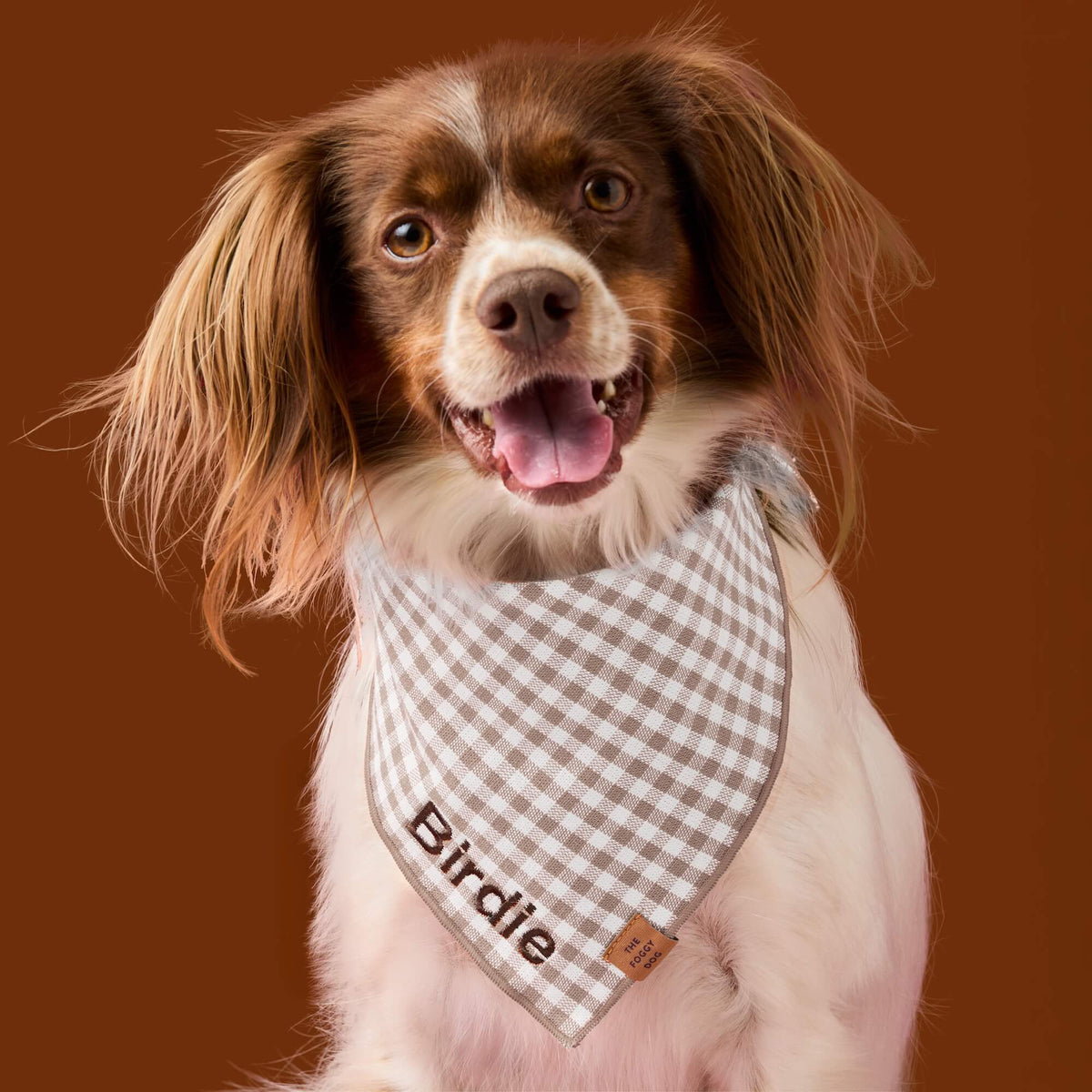 Bruin Geruite Paddenstoelenbandana Voor Honden
